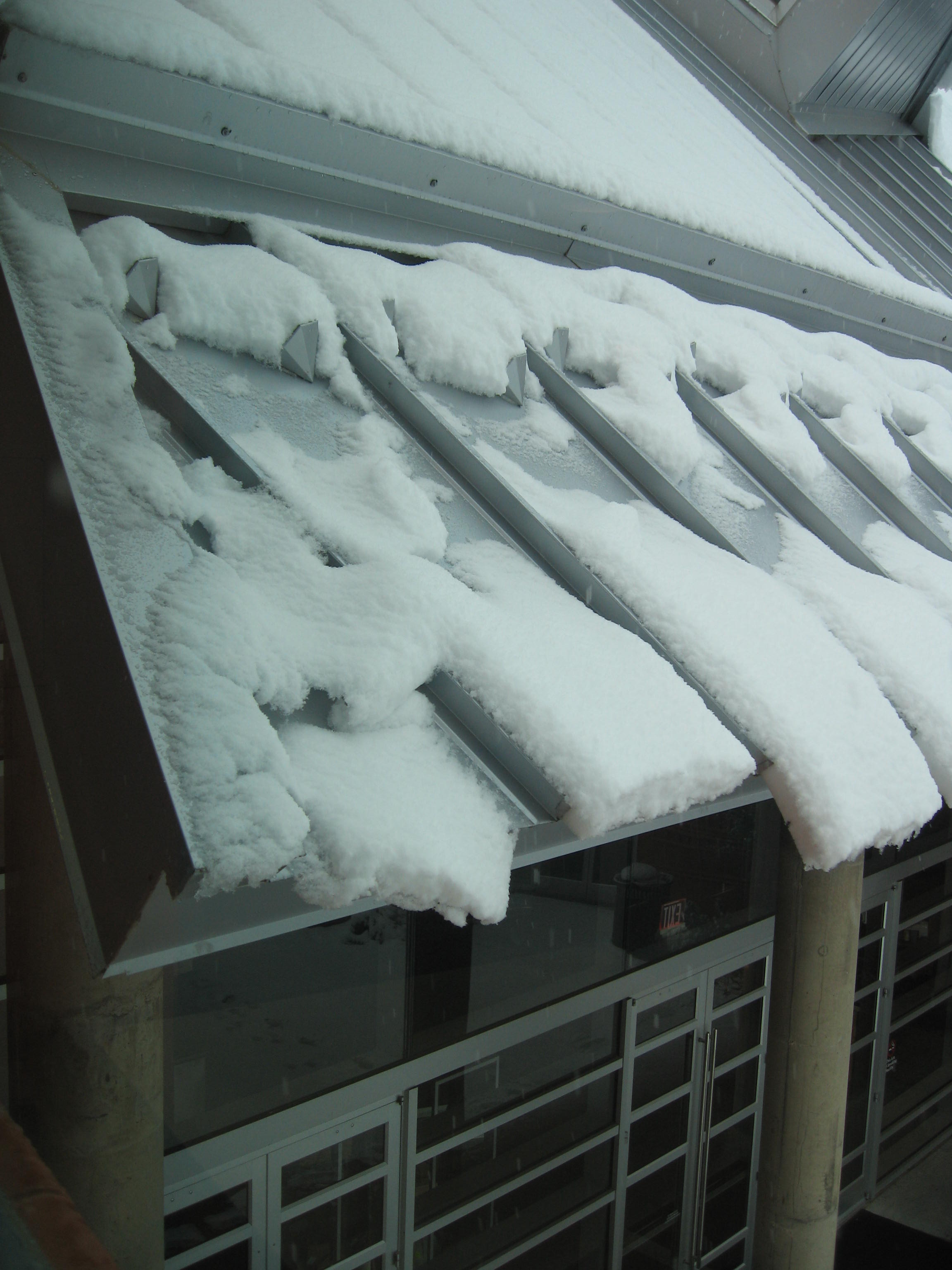 10.02.11 cedar hill snow scenes 017